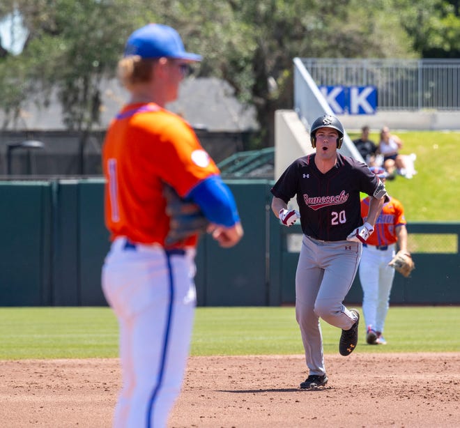 Gamecocks utility Ethan Petry (20) celebrates his two run homer in the top of the third inning against Florida. The Gators beat the Gamecocks 11-9 in Game 3 of the weekend series at Condron Family Ballpark in Gainesville, Florida, Sunday, April 14, 2024. [Cyndi Chambers/ Gainesville Sun] 2024