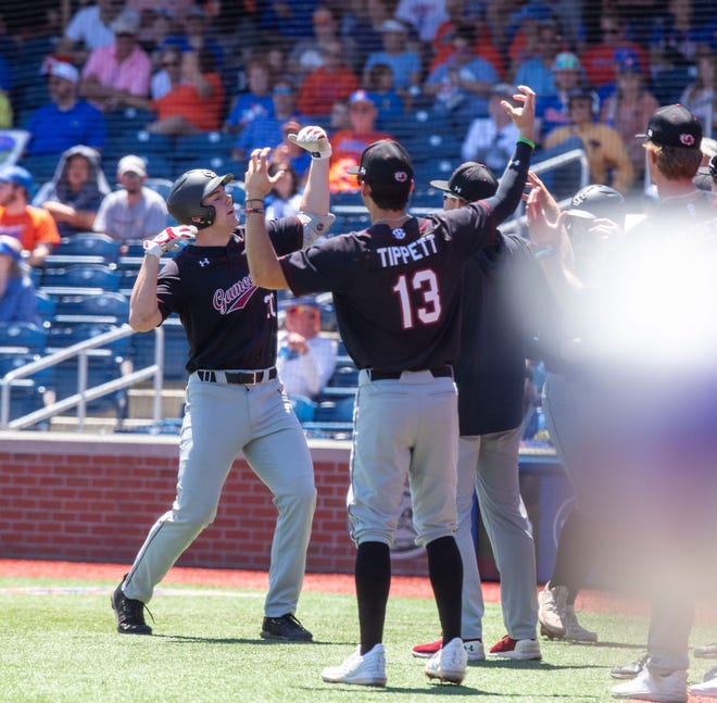 Gamecocks utility Ethan Petry (20) celebrates his two run homer in the top of the third inning against Florida. The Gators beat the Gamecocks 11-9 in Game 3 of the weekend series at Condron Family Ballpark in Gainesville, Florida, Sunday, April 14, 2024. [Cyndi Chambers/ Gainesville Sun] 2024