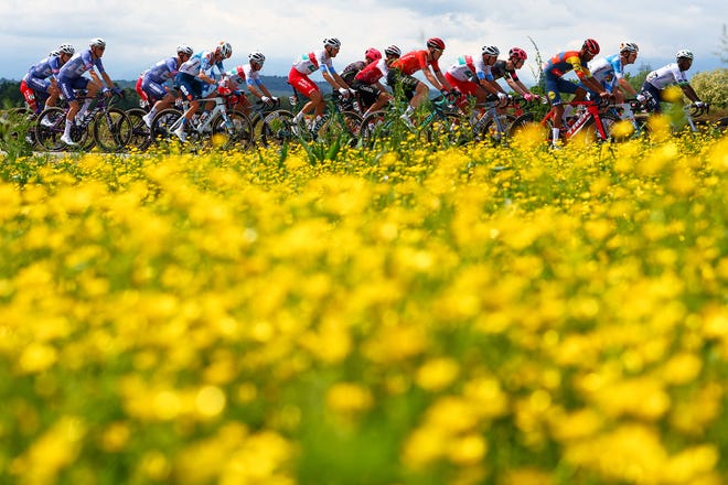 May 5, 2024 : The pack rides during the 2nd stage of the 107th Giro d'Italia cycling race, between San Francesco al Campo and Sanctuary of Oropa.