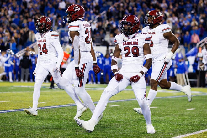 Oct 8, 2022; Lexington, Kentucky, USA; South Carolina Gamecocks defensive back David Spaulding (29) celebrates after a Kentucky Wildcats fumble during the first quarter at Kroger Field. Mandatory Credit: Jordan Prather-USA TODAY Sports